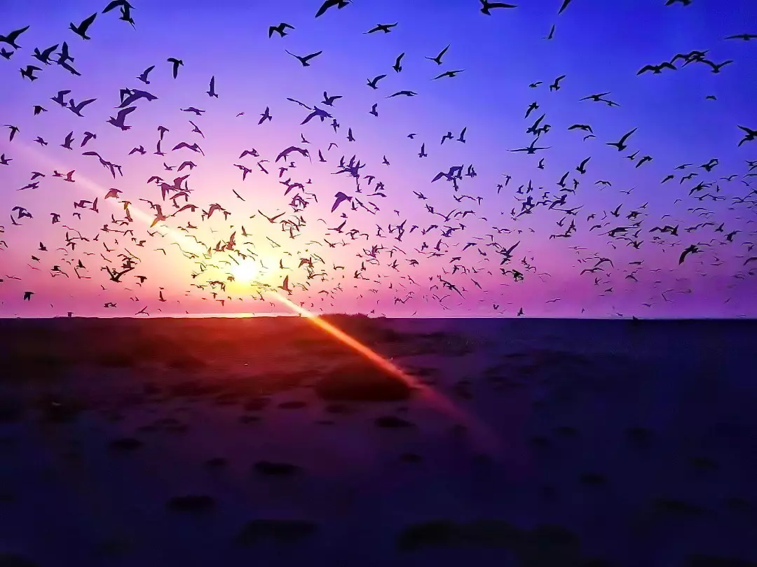 Бушер - остров Омм-Ол-Карам и остров Нахилу