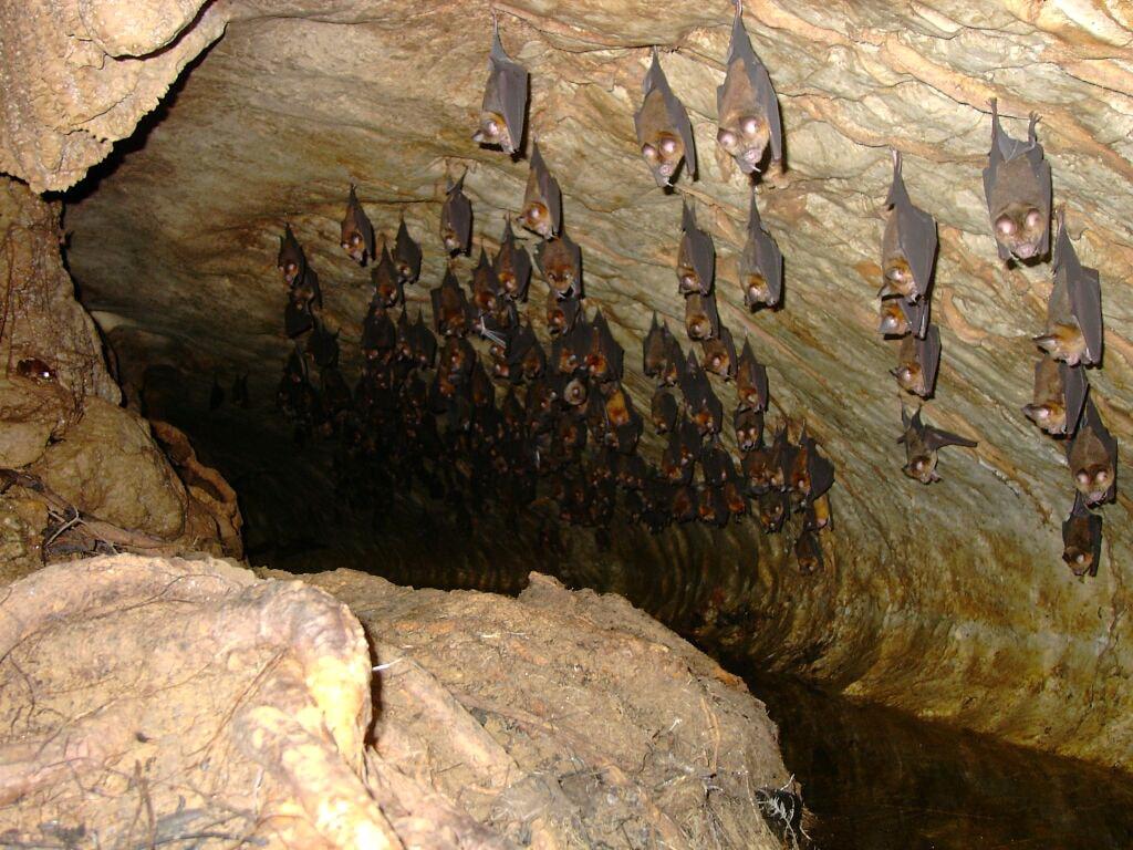 Ilam- Grotta dei pipistrelli