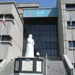 Иранска традиционална медицина