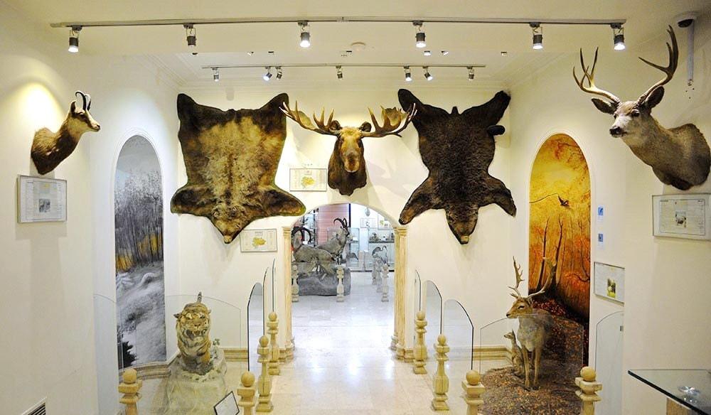 Tehran-Museo Naturalistico e di Fauna Selvatica