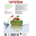 NOWRUZ, Tradizioni e leggende del capodanno Persiano