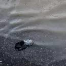 floods (9)