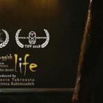 نماینده ایران در جشنواره بین المللی فیلم کوتاه ایتالیا