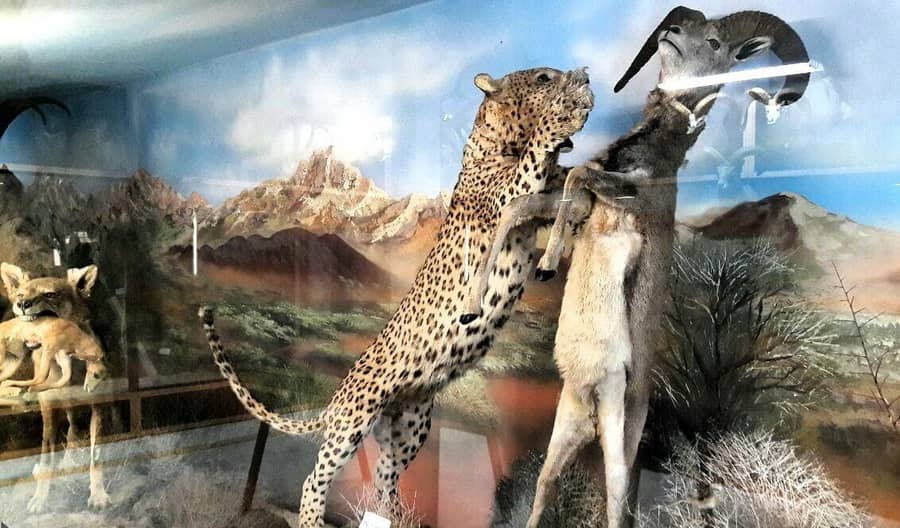 Tehran-Museo Naturalistico e di Fauna Selvatica
