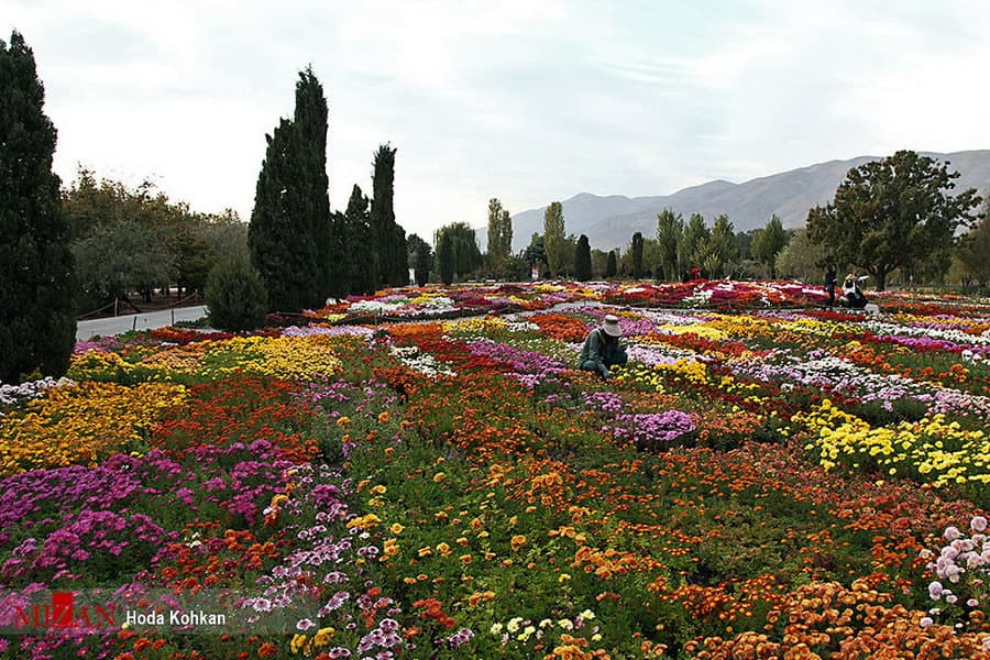 Giardino botanico nazionale dell’Iran