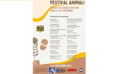2021 Enpa Animal Festival, winners announced.
