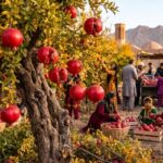 Il Melograno: il frutto sacro che racconta l’anima dell’Iran Il Melograno: il frutto sacro che racconta l’anima dell’Iran
